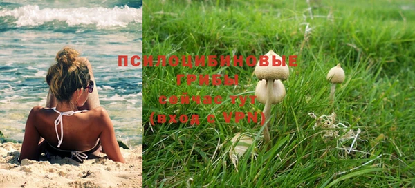 спиды Абинск