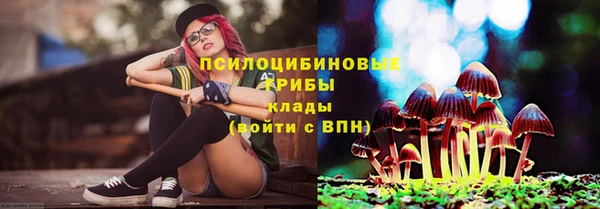 мяу мяу мука Абдулино