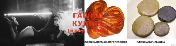 гидропоника Алзамай