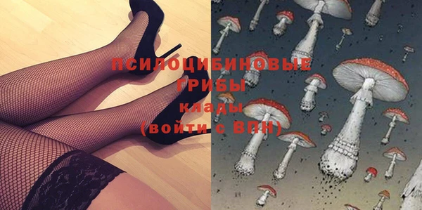 гидропоника Алзамай