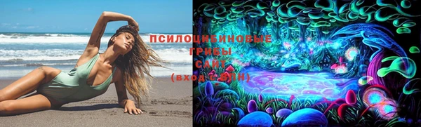 стафф Абаза