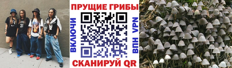 Галлюциногенные грибы Cubensis  Добрянка 