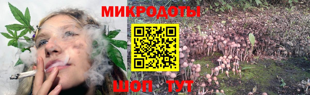 Добрянка  Галлюциногенные грибы ЛСД  Вход с VPN  Псилоцибиновые грибы MAGIC MUSHROOMS 